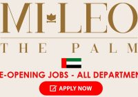 Mileo The Palm Dubai Jobs | Mileo The Palm Dubai Vacancies 2025 | Mileo The Palm Dubai Careers | Job Openings at Mileo The Palm Dubai | JobKing | Mileo The Palm Dubai Job Opportunities 2025 | Mileo The Palm Dubai Job Vacancy 2025 | Mileo The Palm Dubai Recruitment 2025 | Mileo The Palm Dubai is Hiring | Dubai Jobs | Dubai Vacancy | Gulf Jobs | UAE Jobs | JobKing Dubai