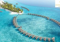 Crown & Champa Resorts Jobs | Crown & Champa Resorts Vacancies 2025 | Crown & Champa Resorts Careers | Job Openings at Crown & Champa Resorts Maldives | JobKing | Crown & Champa Resorts Maldives Job Opportunities 2025 | Crown & Champa Resorts Maldives Job Vacancy 2025 | Crown & Champa Resorts Maldives Recruitment 2025 | Maldives Jobs